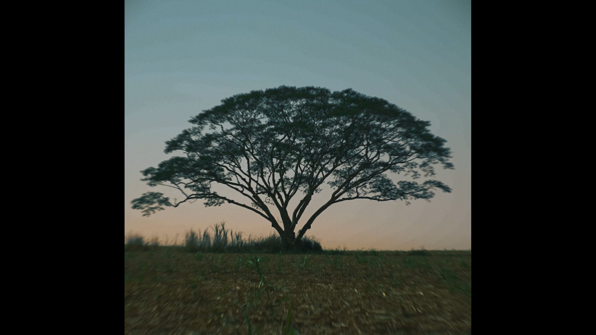 Still Infortúnio 6
